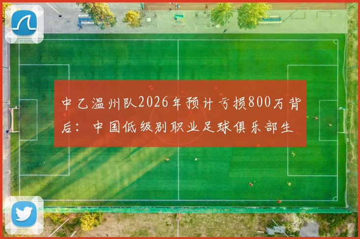 中乙温州队2026年预计亏损800万背后：中国低级别职业足球俱乐部生存现状深度调查与运营成本解析